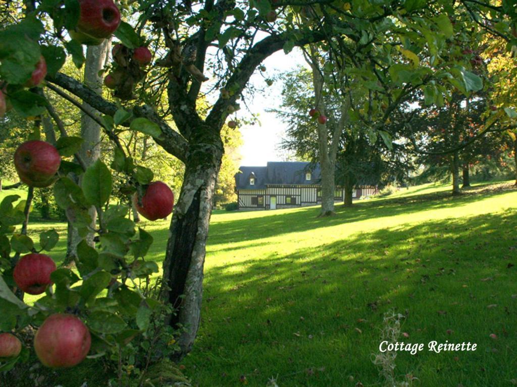 Les Fermes De Florence Bien Etre Et Nature Les Champeaux Pokój zdjęcie